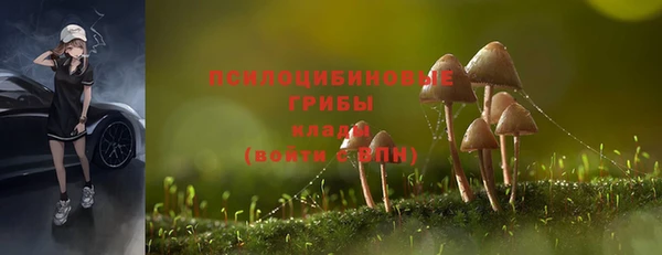 марихуана Абаза