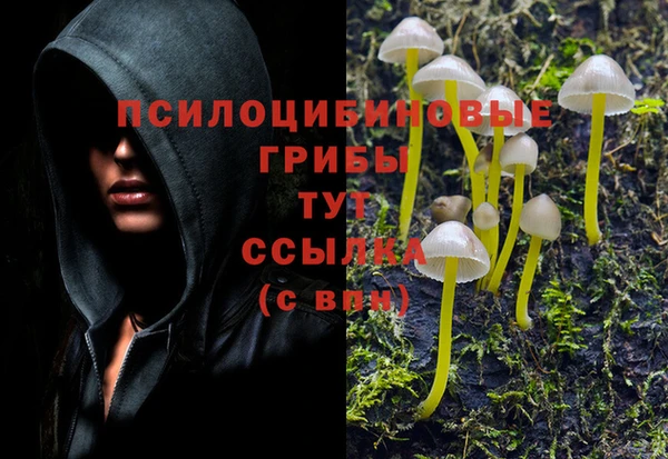 марихуана Абаза